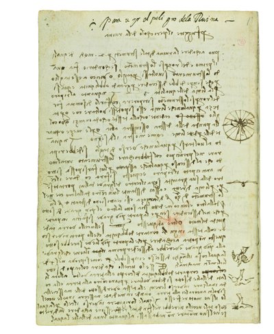 Codex on the Flight of Birds, Folio 12 Verso by Leonardo da Vinci